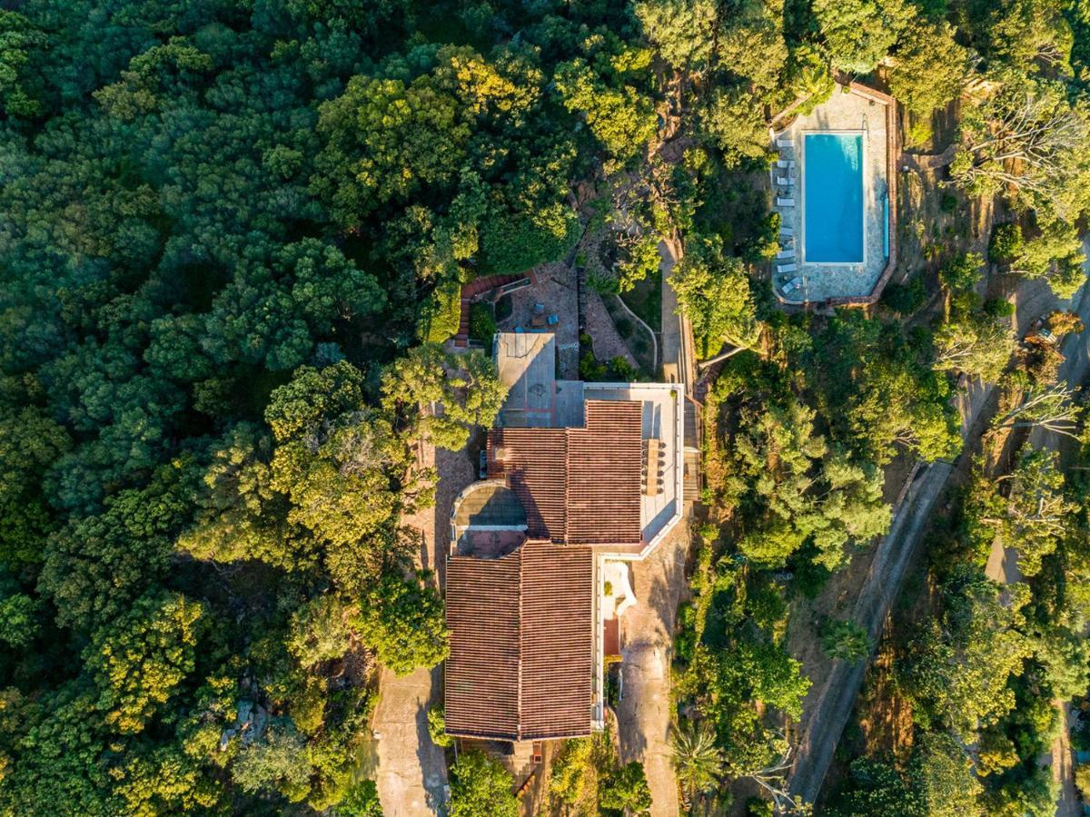 Villa L'Arbousiere Porto Vecchio Exterior foto